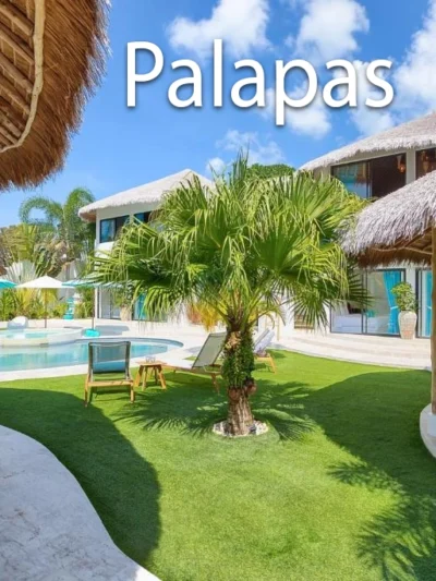 Palapas