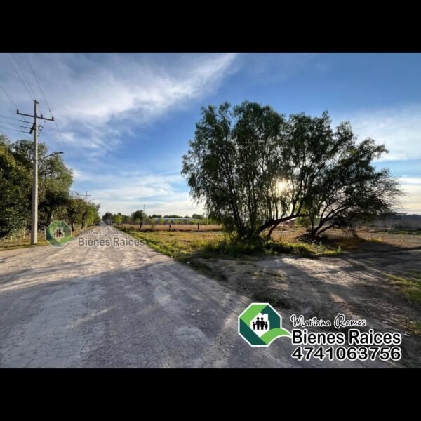 Terrenos en Venta en las Higueras